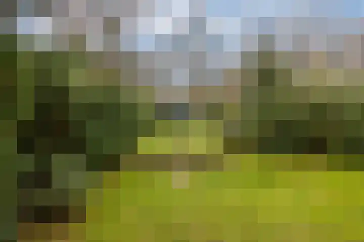 Bohemen 55 Leusden thumbnail 42