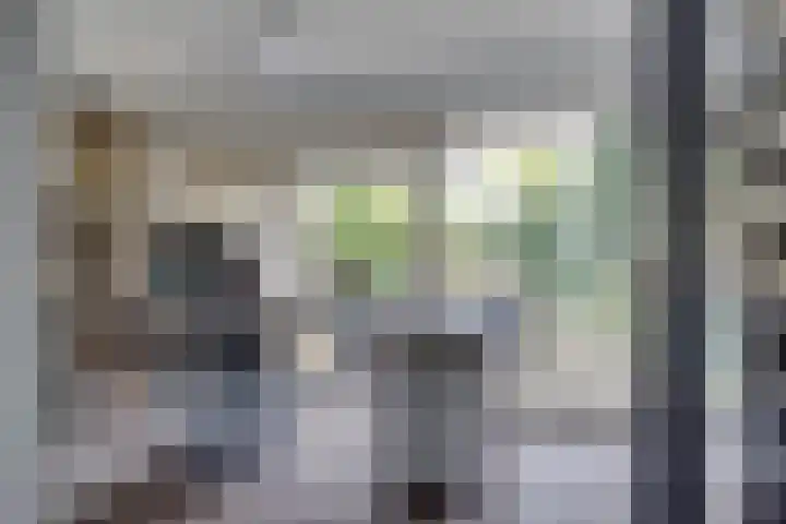 Bohemen 55 Leusden thumbnail 6