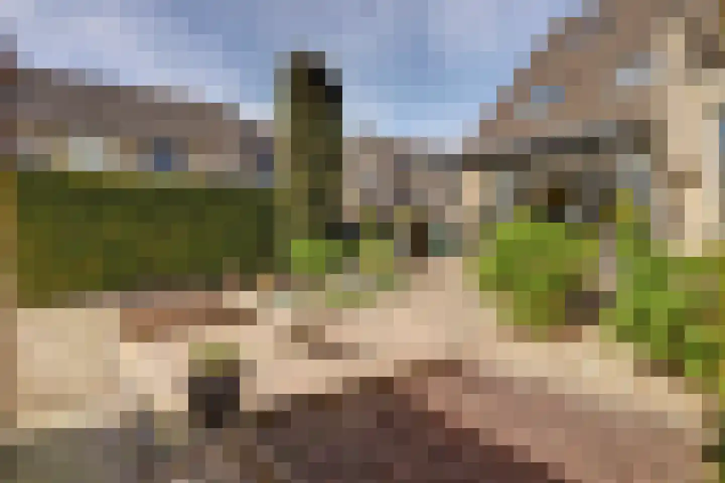 Bohemen 6 Leerdam thumbnail 35