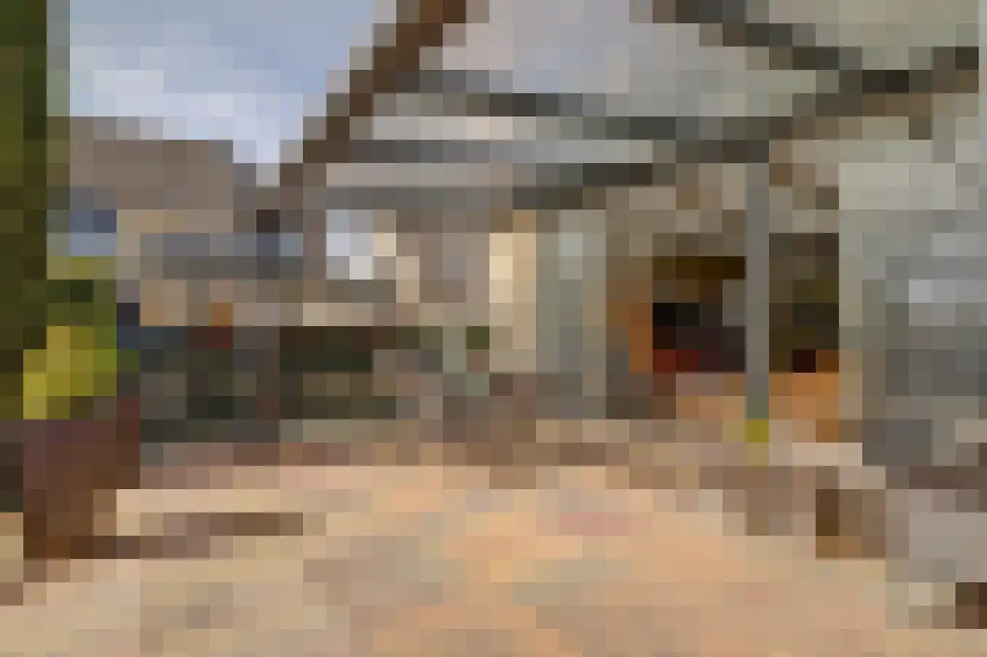 Bohemen 6 Leerdam thumbnail 36