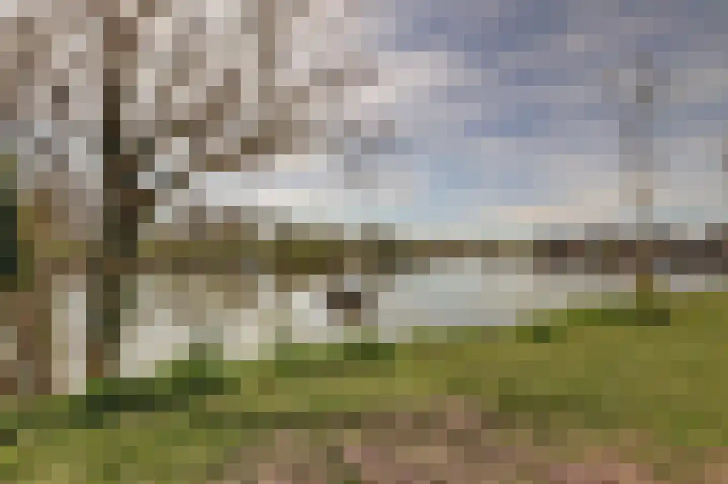 Bohemen 6 Leerdam thumbnail 5