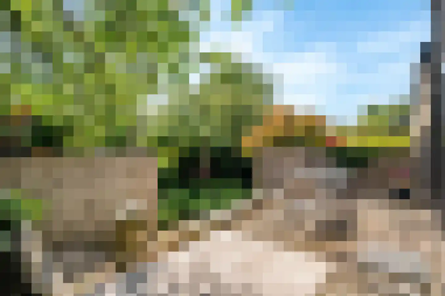 Bohèmepad 7 Amersfoort thumbnail 29