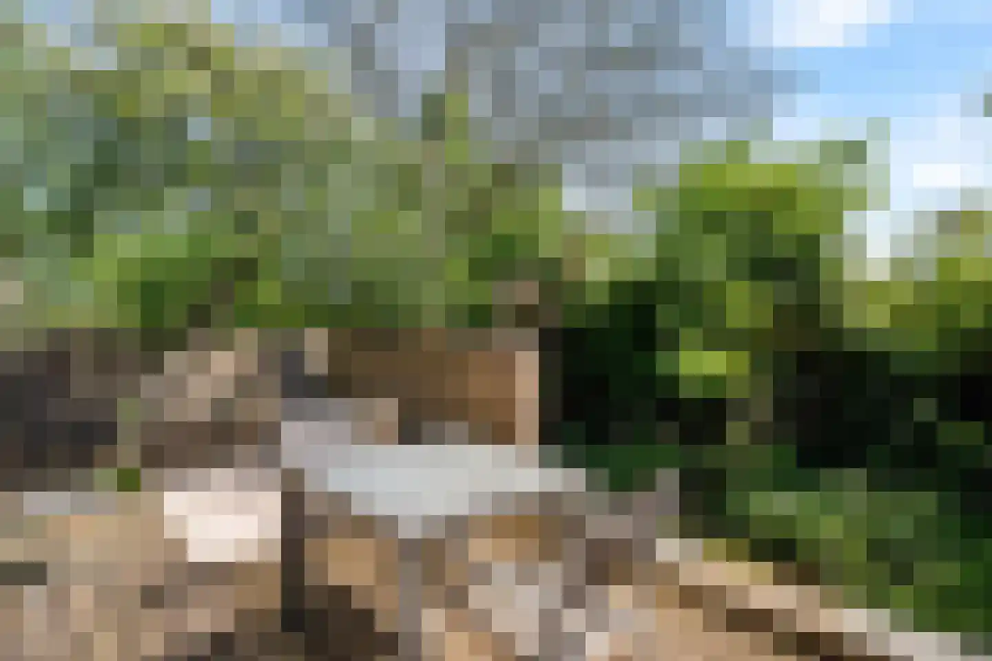 Bohèmepad 7 Amersfoort thumbnail 31