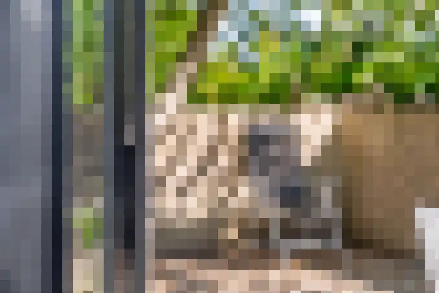 Bohèmepad 7 Amersfoort thumbnail 33