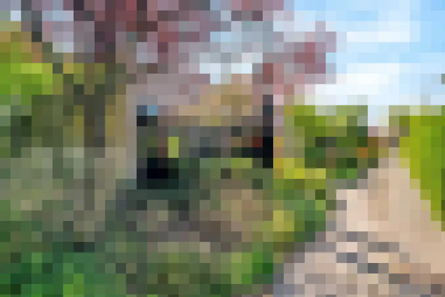 Bohèmepad 7 Amersfoort thumbnail 37