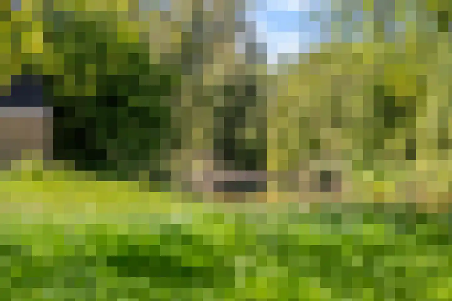 Bohèmepad 7 Amersfoort thumbnail 40