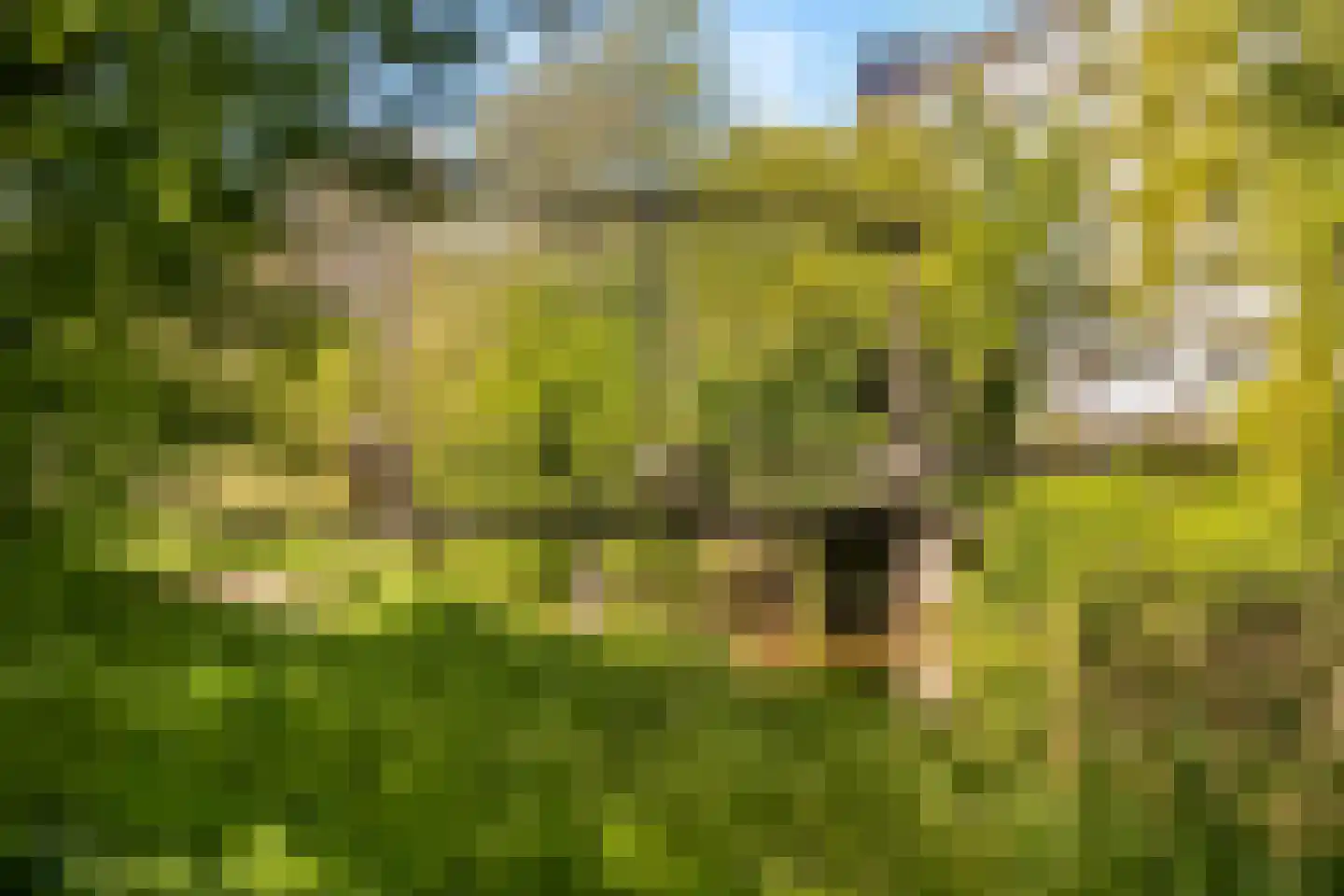 Bohèmepad 7 Amersfoort thumbnail 42