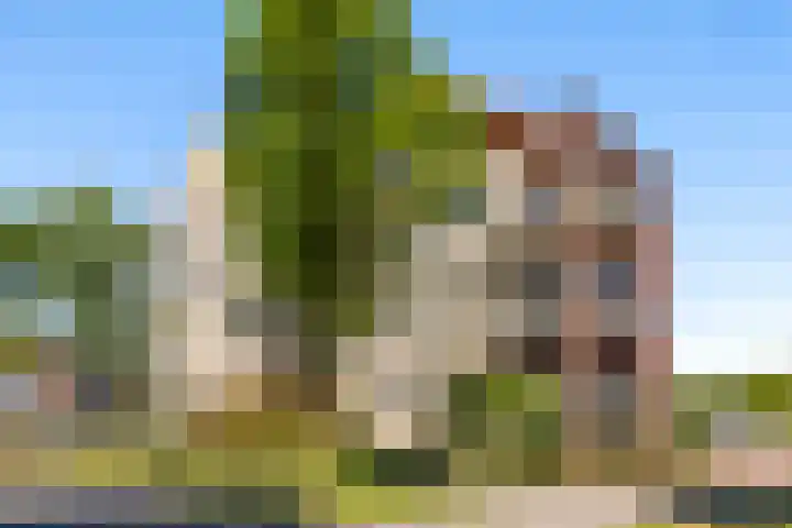 Capture d'écran du site web de www.bohnemakelaars.nl