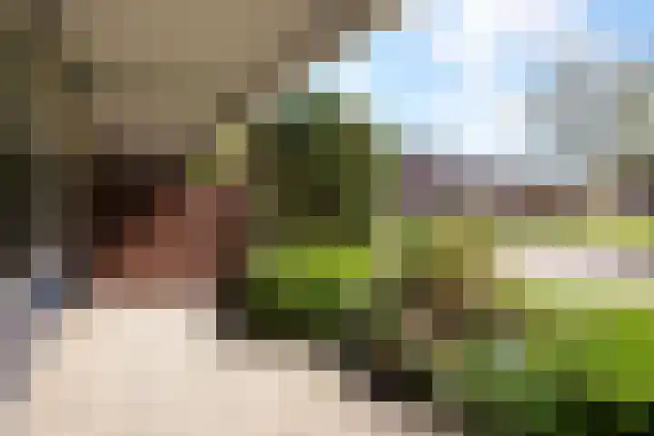 Bohortplaats 2 Amersfoort thumbnail 13