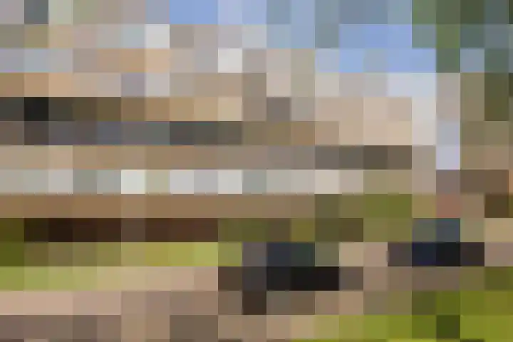 Bohortplaats 2 Amersfoort thumbnail 24