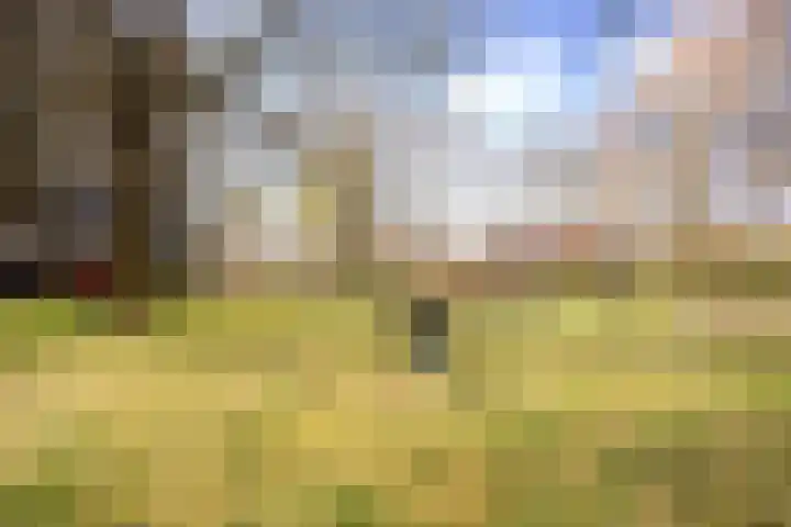 Bohortplaats 2 Amersfoort thumbnail 26