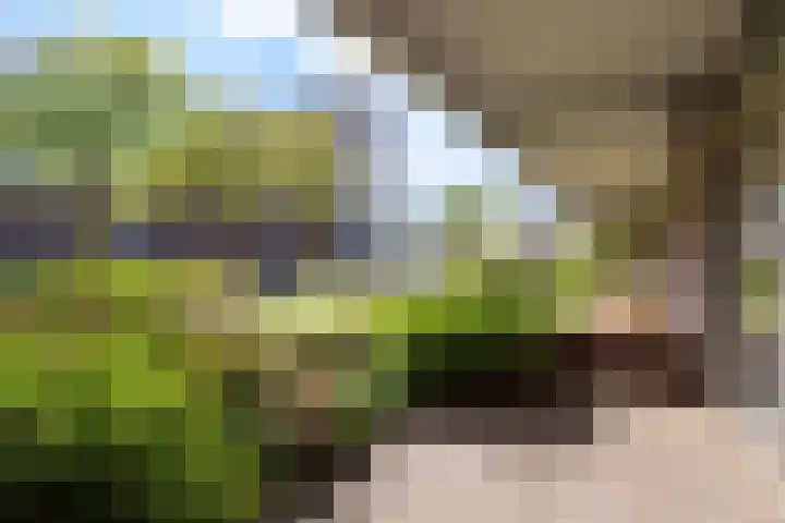 Bohortplaats 2 Amersfoort thumbnail 5