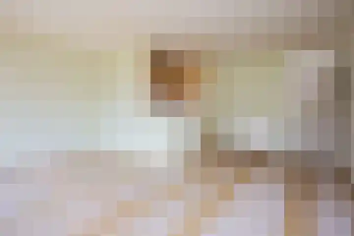 Bohortplaats 2 Amersfoort thumbnail 8