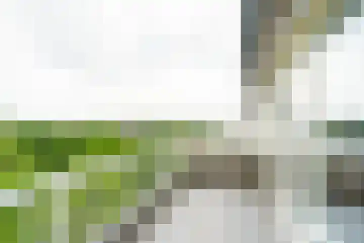 Bohortplaats 77 Amersfoort thumbnail 10
