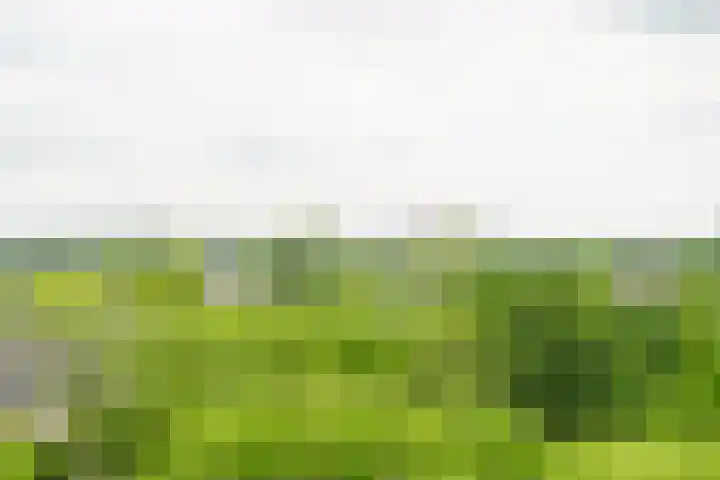 Bohortplaats 77 Amersfoort thumbnail 11