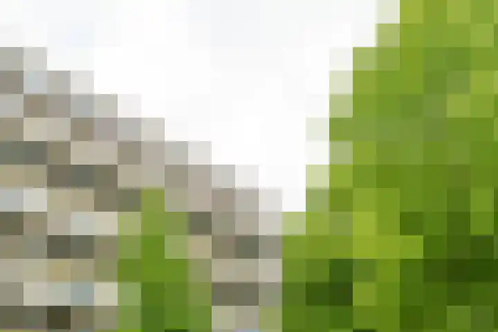Bohortplaats 77 Amersfoort thumbnail 24