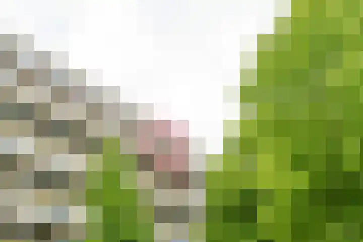 Bohortplaats 77 Amersfoort thumbnail 25