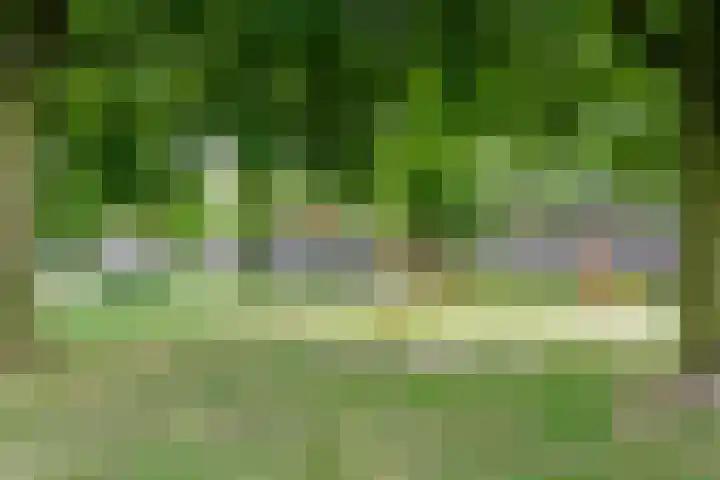 Bohortplaats 77 Amersfoort thumbnail 26