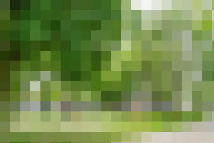 Bohortplaats 77 Amersfoort thumbnail 27
