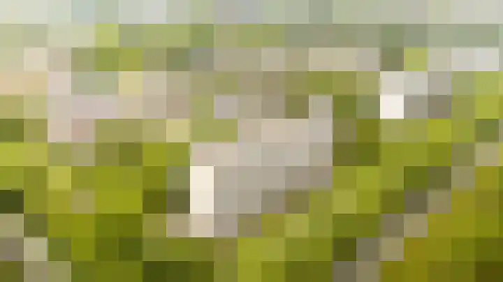 Bohortplaats 77 Amersfoort thumbnail 31