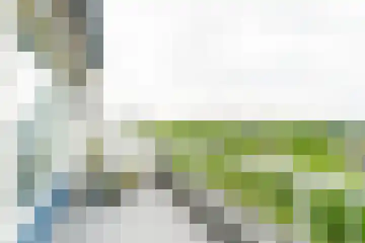 Bohortplaats 77 Amersfoort thumbnail 9
