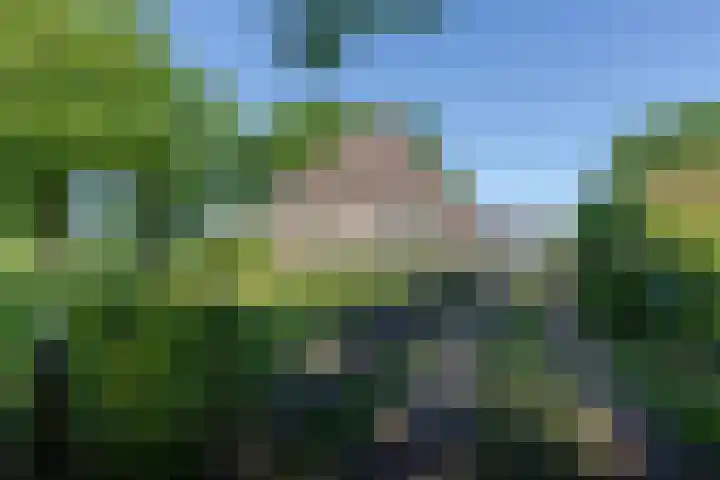 Boijlerweg 21 Boijl