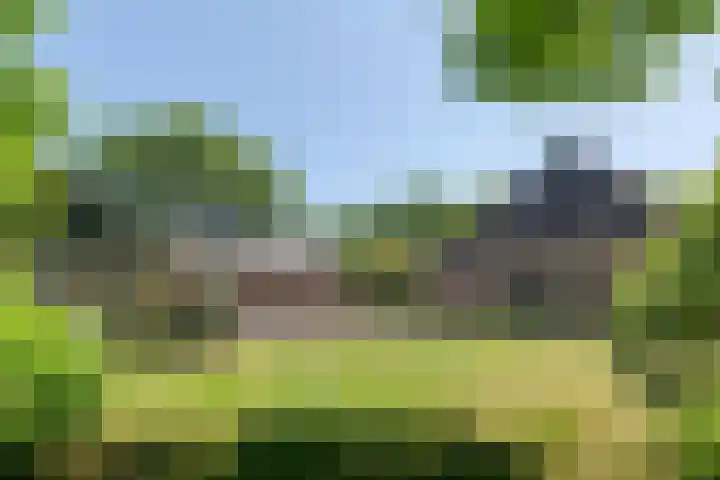 Boijlerweg 21 Boijl thumbnail 40