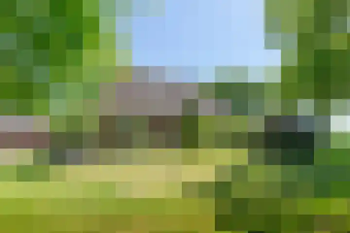 Boijlerweg 21 Boijl thumbnail 52