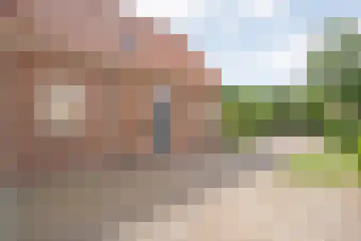 Boijlerweg 62 Boijl thumbnail 12