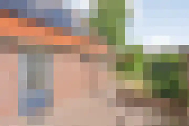 Boijlerweg 62 Boijl thumbnail 38