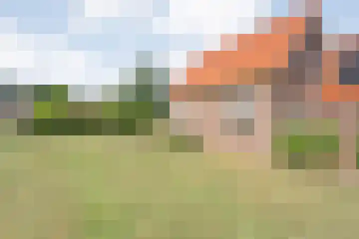 Boijlerweg 62 Boijl thumbnail 39