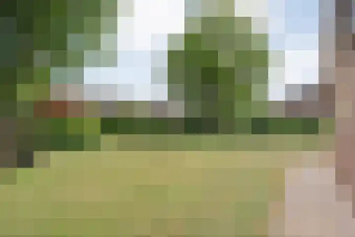 Boijlerweg 62 Boijl thumbnail 4