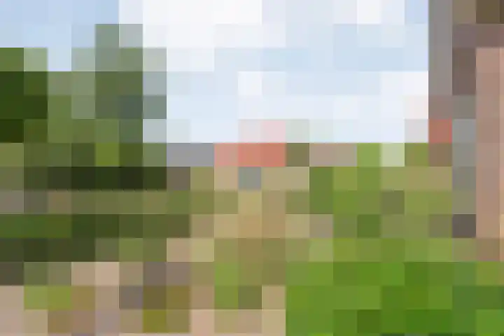 Boijlerweg 62 Boijl thumbnail 41