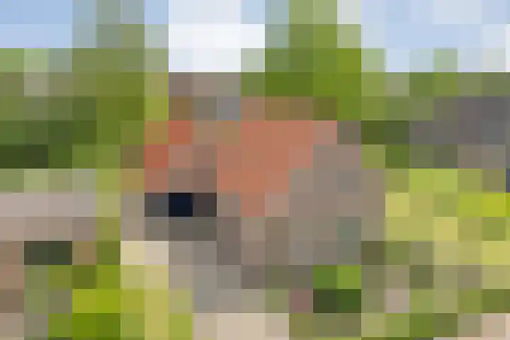Boijlerweg 62 Boijl thumbnail 8