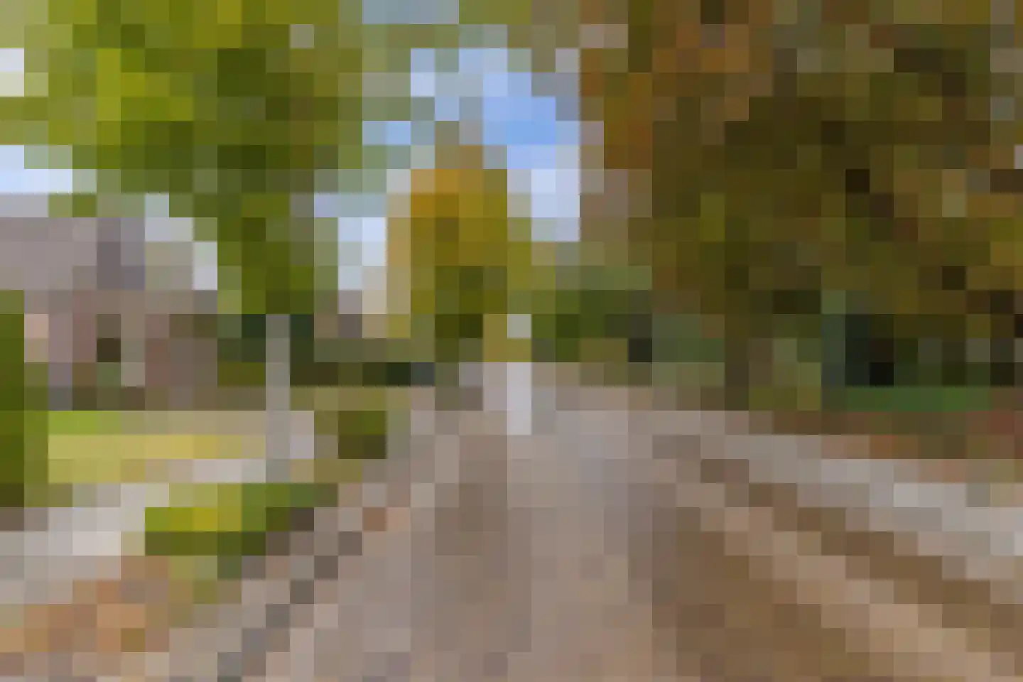 Boijlerweg 91 Boijl thumbnail 57