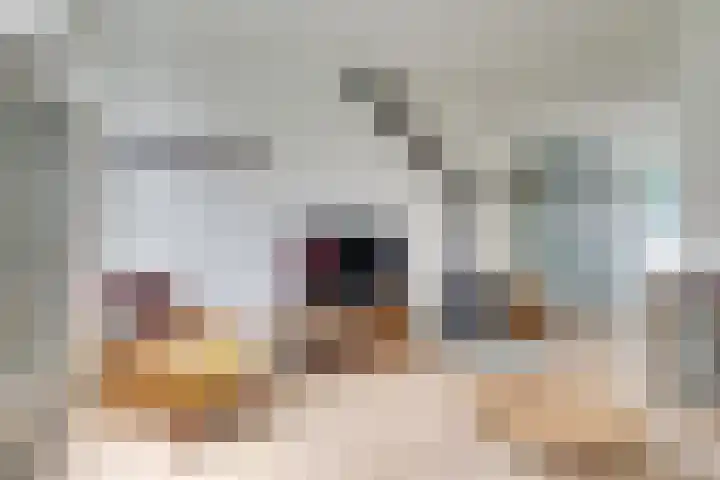 Boisotstraat 1 Utrecht thumbnail 13