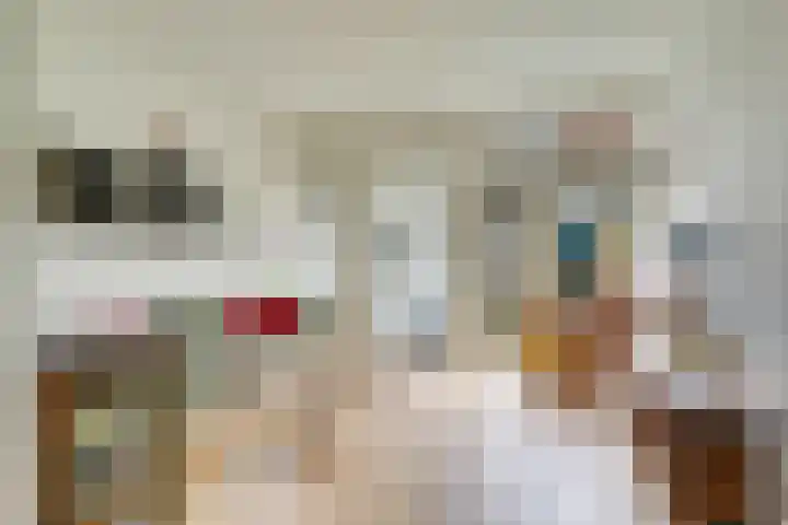Boisotstraat 1 Utrecht thumbnail 14