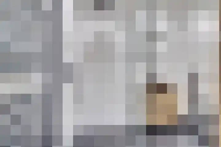 Boisotstraat 1 Utrecht thumbnail 22