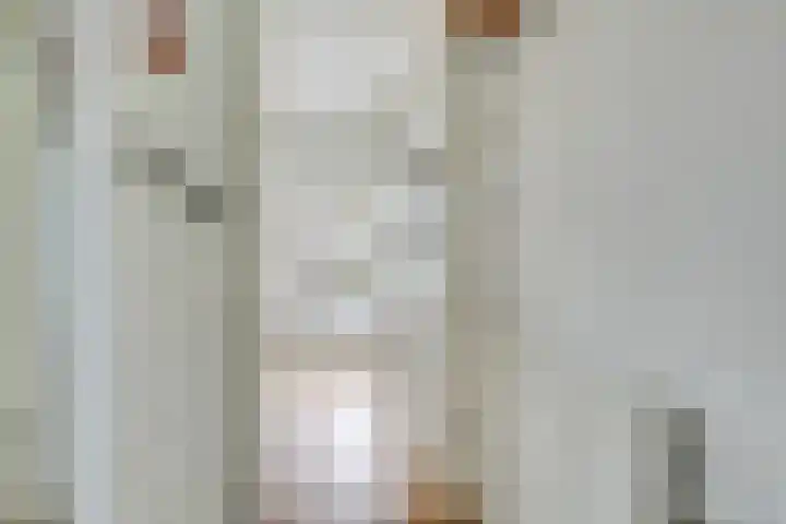 Boisotstraat 1 Utrecht thumbnail 6