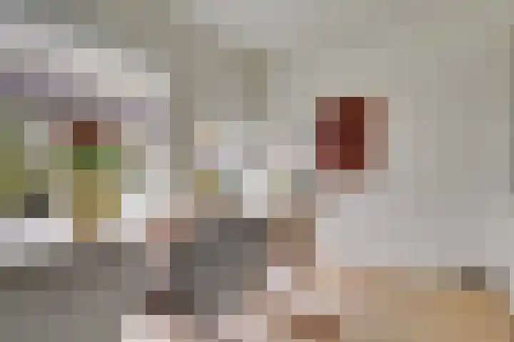 Boisotstraat 1 Utrecht thumbnail 8