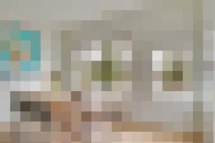 Boisotstraat 1 Utrecht thumbnail 9