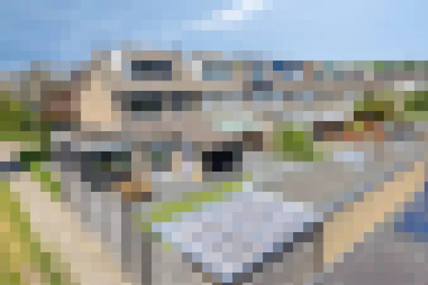 Boisotstraat 15 Oud-Beijerland thumbnail 46