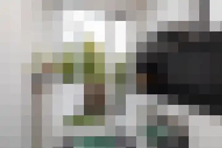 Boisotstraat 74 Utrecht thumbnail 12