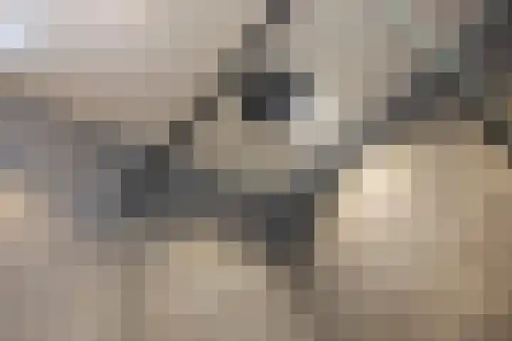 Boisotstraat 74 Utrecht thumbnail 17