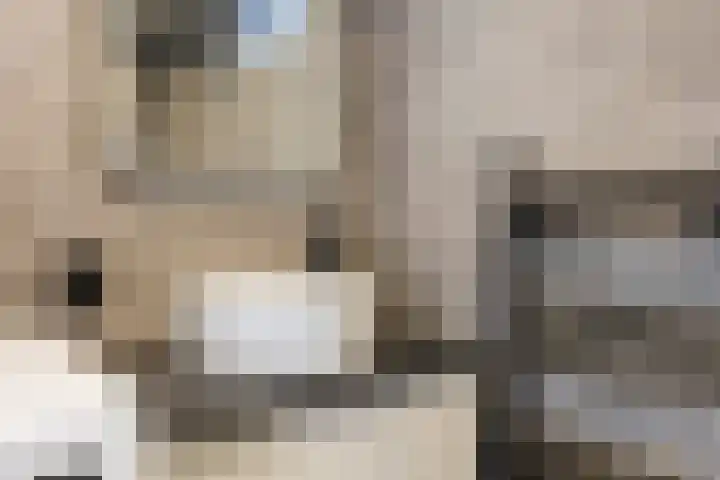Boisotstraat 74 Utrecht thumbnail 18