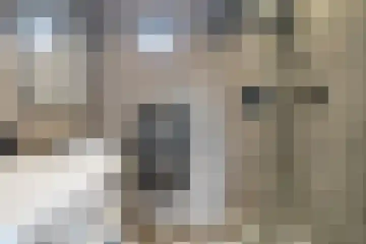 Boisotstraat 74 Utrecht thumbnail 5