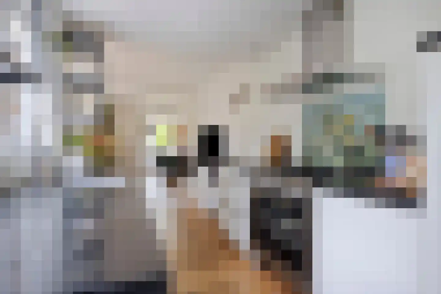 Bokelshoef 20 Hendrik-Ido-Ambacht thumbnail 13