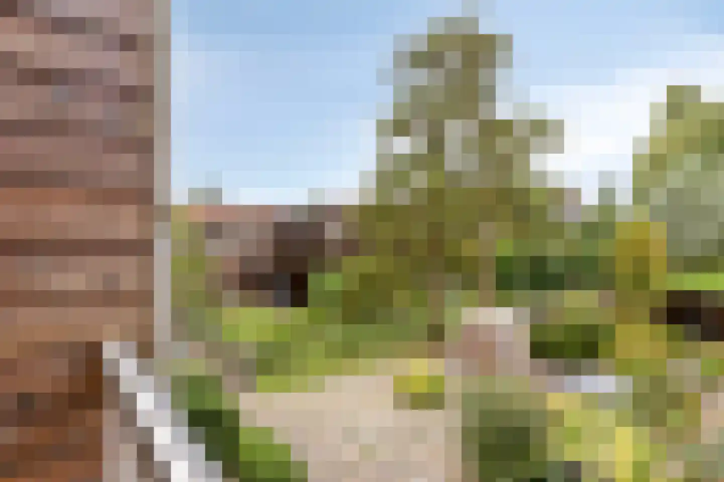 Bokelshoef 20 Hendrik-Ido-Ambacht thumbnail 25