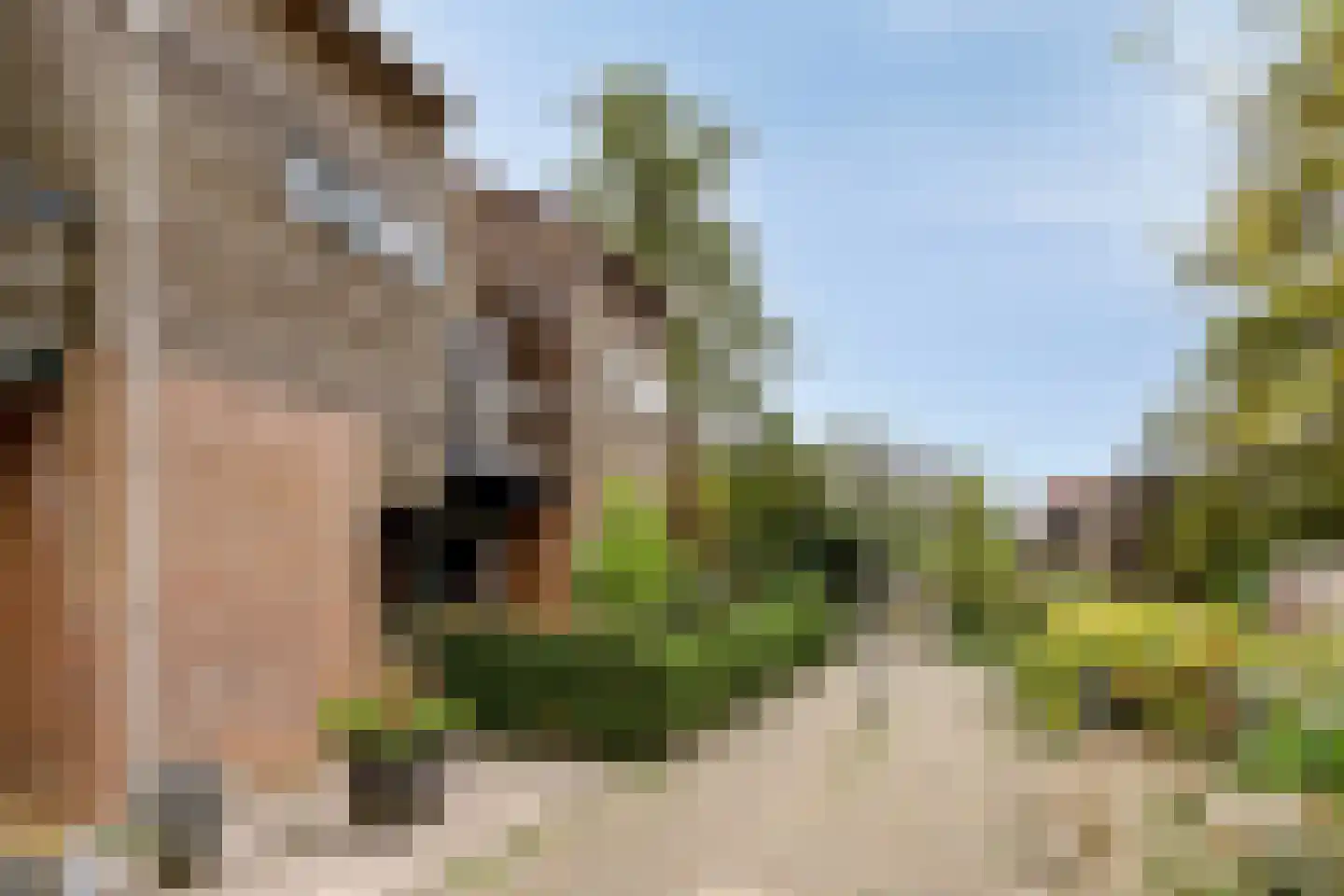 Bokelshoef 20 Hendrik-Ido-Ambacht thumbnail 37