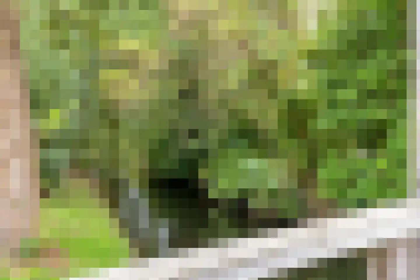 Bokelshoef 20 Hendrik-Ido-Ambacht thumbnail 38